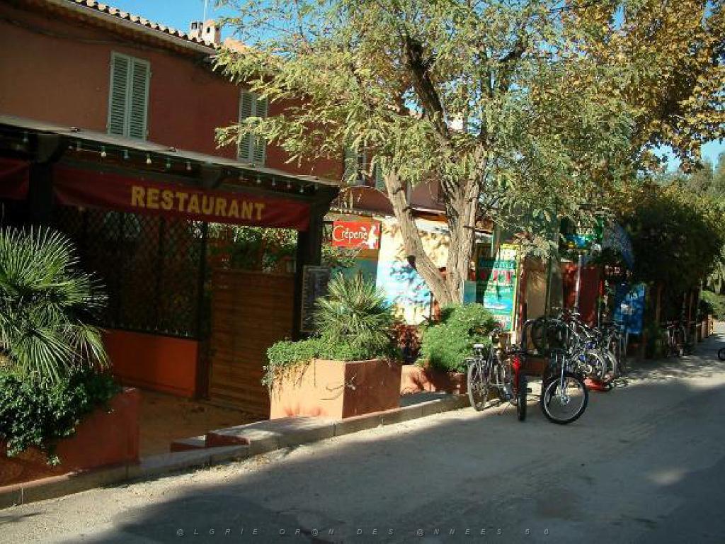 183 ILE DE PORQUEROLLES -2_000028.jpg